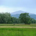 Pod Jednym Dachem Çiftlik konaklama Skawa